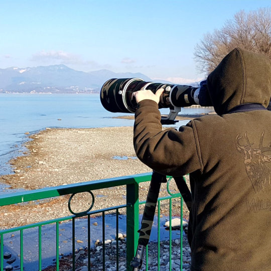 Canon-EF-600-f4-is-II