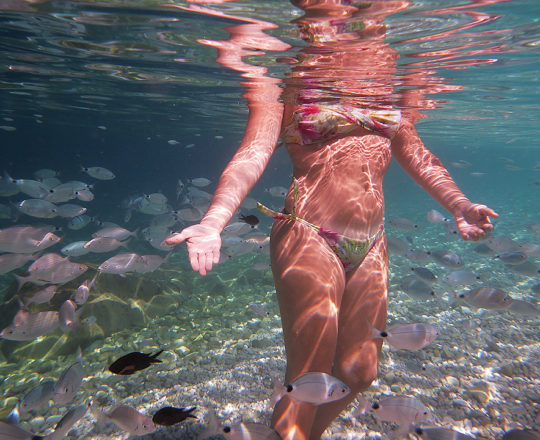 Snorkeling all'Elba
