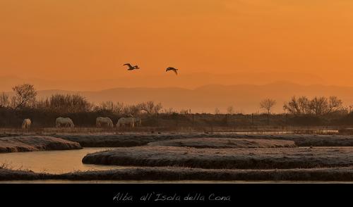 Alba Isola della Cona