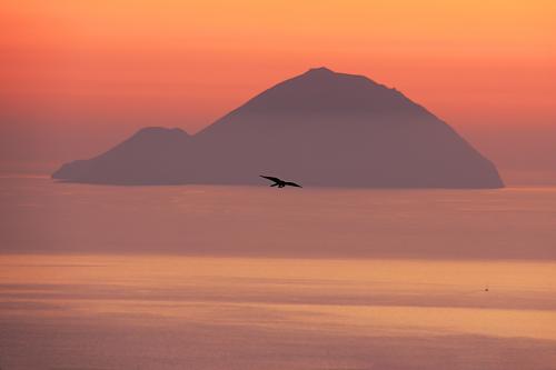 Filicudi con Falco Pellegrino