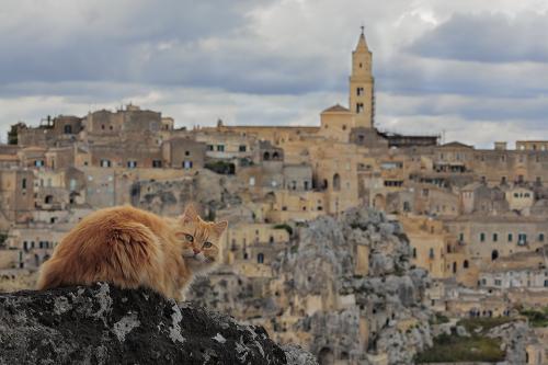 Matera 2019